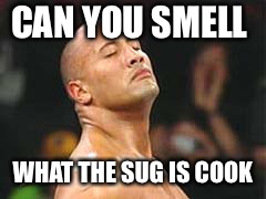 The Rock Smelling | CAN YOU SMELL; WHAT THE SUG IS COOKING | image tagged in the rock smelling | made w/ Imgflip meme maker
