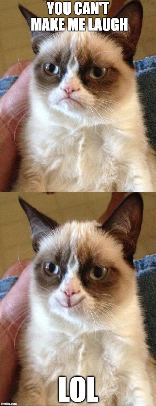 Grumpy Cat 2x Smile | YOU CAN'T MAKE ME LAUGH; LOL | image tagged in grumpy cat 2x smile,grumpy cat,memes | made w/ Imgflip meme maker