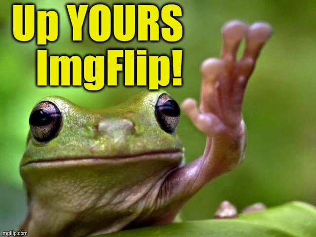 screw you | Up YOURS   ImgFlip! | image tagged in screw you | made w/ Imgflip meme maker