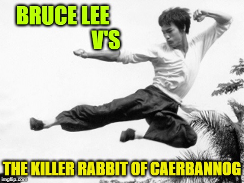 BRUCE LEE                     V'S; THE KILLER RABBIT OF CAERBANNOG | image tagged in bruce lee | made w/ Imgflip meme maker