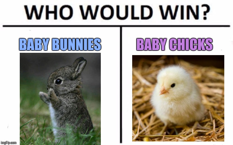 Who Would Win? Meme | BABY BUNNIES; BABY CHICKS | image tagged in memes,who would win | made w/ Imgflip meme maker