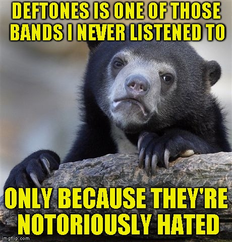 Confession Bear Meme | DEFTONES IS ONE OF THOSE BANDS I NEVER LISTENED TO ONLY BECAUSE THEY'RE NOTORIOUSLY HATED | image tagged in memes,confession bear | made w/ Imgflip meme maker