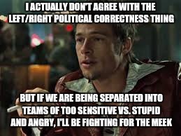 Real America loves the underdog | I ACTUALLY DON'T AGREE WITH THE LEFT/RIGHT POLITICAL CORRECTNESS THING; BUT IF WE ARE BEING SEPARATED INTO TEAMS OF TOO SENSITIVE VS. STUPID AND ANGRY, I'LL BE FIGHTING FOR THE MEEK | image tagged in fight club | made w/ Imgflip meme maker