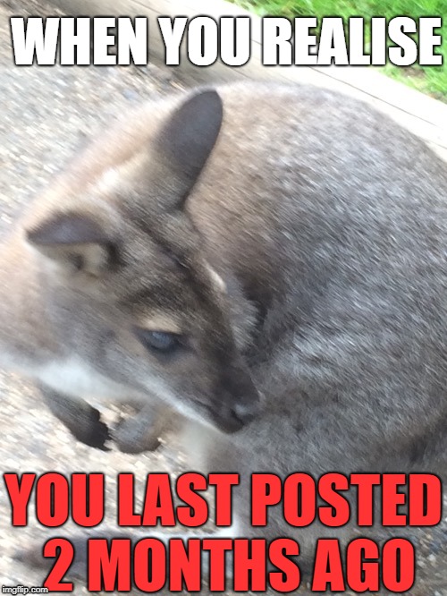 I'll try post more memes | WHEN YOU REALISE; YOU LAST POSTED 2 MONTHS AGO | image tagged in realisation wallaby,memes,other,posting,inactive,imgflip | made w/ Imgflip meme maker