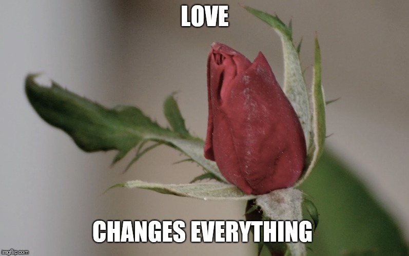 LOVE; CHANGES EVERYTHING | image tagged in love | made w/ Imgflip meme maker