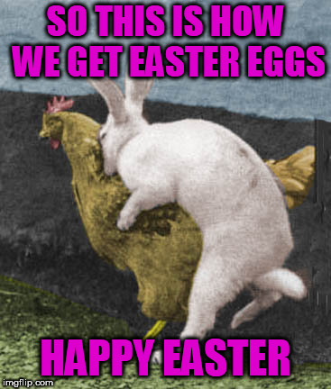 SO THIS IS HOW WE GET EASTER EGGS; HAPPY EASTER | image tagged in happy easter | made w/ Imgflip meme maker