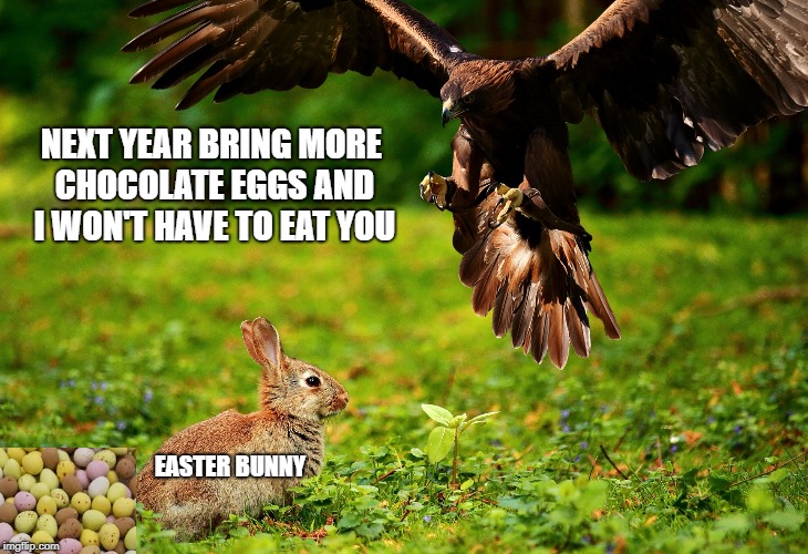 NEXT YEAR BRING MORE CHOCOLATE EGGS AND I WON'T HAVE TO EAT YOU; EASTER BUNNY | made w/ Imgflip meme maker