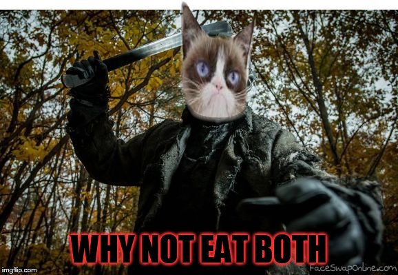 grumpy cat jason | WHY NOT EAT BOTH | image tagged in grumpy cat jason | made w/ Imgflip meme maker