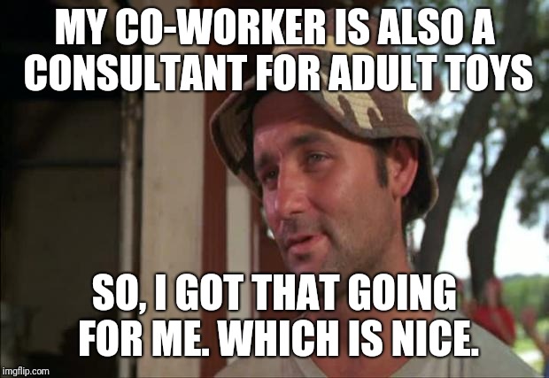 So I Got That Goin For Me Which Is Nice 2 |  MY CO-WORKER IS ALSO A CONSULTANT FOR ADULT TOYS; SO, I GOT THAT GOING FOR ME. WHICH IS NICE. | image tagged in memes,so i got that goin for me which is nice 2 | made w/ Imgflip meme maker