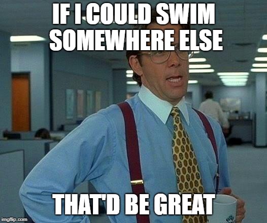 That Would Be Great Meme | IF I COULD SWIM SOMEWHERE ELSE THAT'D BE GREAT | image tagged in memes,that would be great | made w/ Imgflip meme maker