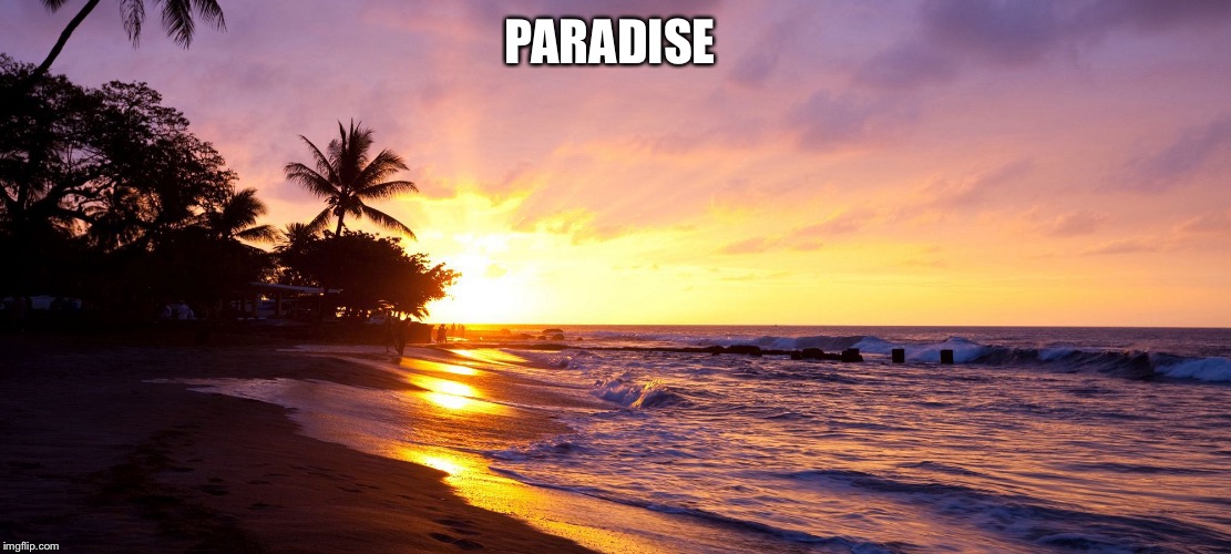 PARADISE | made w/ Imgflip meme maker