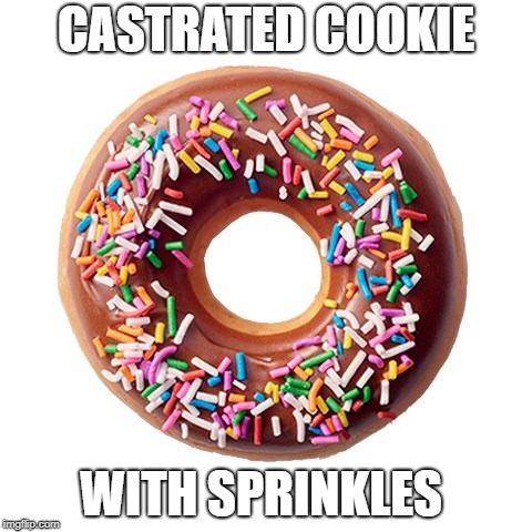 doughnut | CASTRATED COOKIE WITH SPRINKLES | image tagged in doughnut | made w/ Imgflip meme maker
