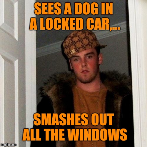 SEES A DOG IN A LOCKED CAR,... SMASHES OUT ALL THE WINDOWS | made w/ Imgflip meme maker