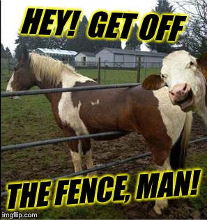 HEY!  GET OFF THE FENCE, MAN! | made w/ Imgflip meme maker