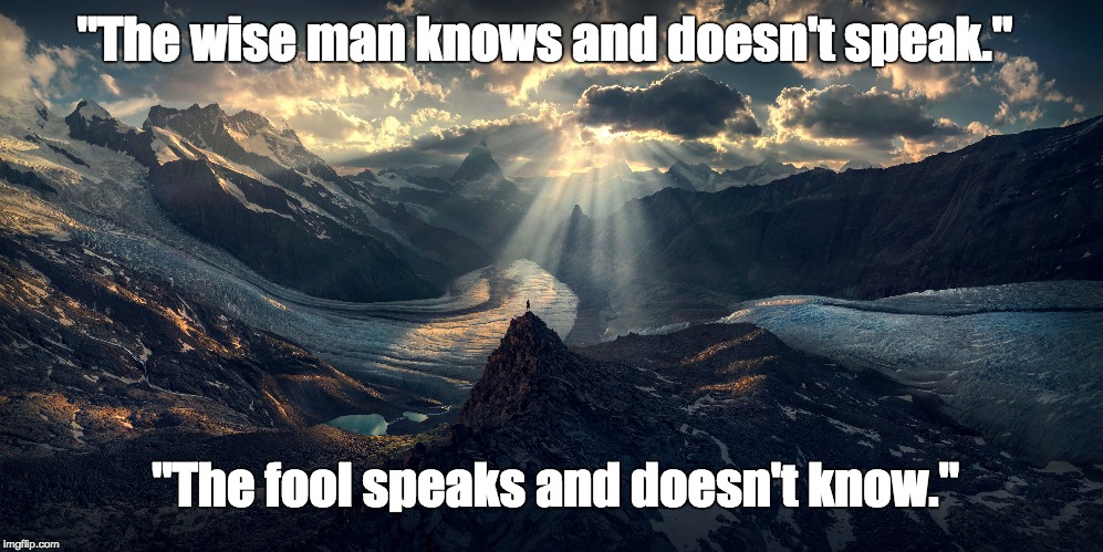 Wisdom | "The wise man knows and doesn't speak."; "The fool speaks and doesn't know." | image tagged in wise man | made w/ Imgflip meme maker
