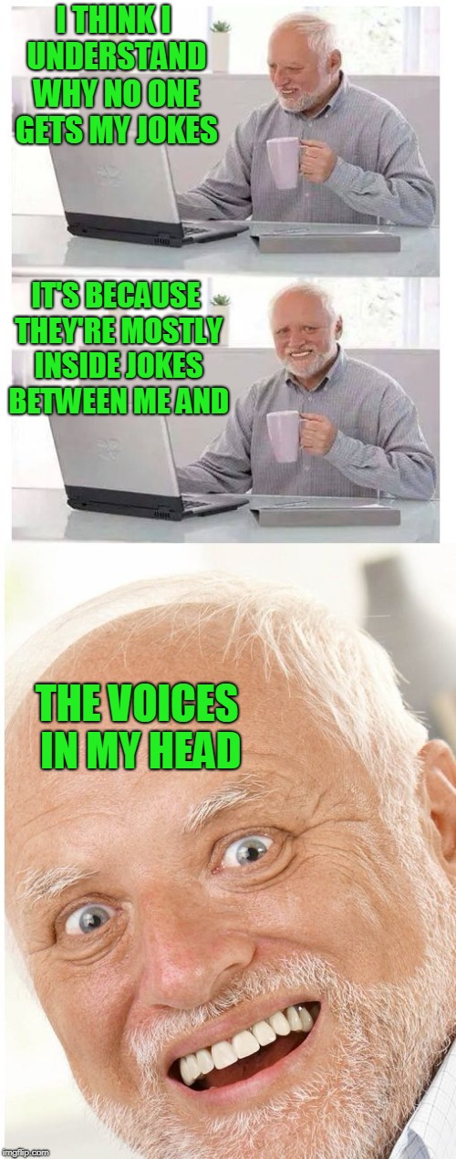 One of the voices in my head pointed this out to me. | I THINK I UNDERSTAND WHY NO ONE GETS MY JOKES; IT'S BECAUSE THEY'RE MOSTLY INSIDE JOKES BETWEEN ME AND; THE VOICES IN MY HEAD | image tagged in hide the pain harold | made w/ Imgflip meme maker