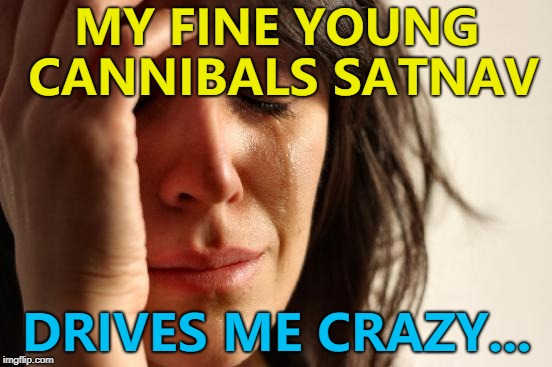It's eating her up... :) | MY FINE YOUNG CANNIBALS SATNAV; DRIVES ME CRAZY... | image tagged in memes,first world problems,fine young cannibals,music,satnav,technology | made w/ Imgflip meme maker
