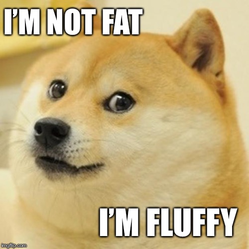Doge Meme | I’M NOT FAT; I’M FLUFFY | image tagged in memes,doge,funny,dog,jokes | made w/ Imgflip meme maker