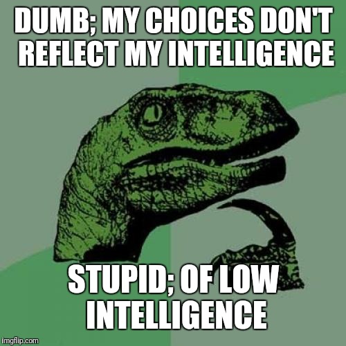 Philosoraptor Meme | DUMB; MY CHOICES DON'T REFLECT MY INTELLIGENCE STUPID; OF LOW INTELLIGENCE | image tagged in memes,philosoraptor | made w/ Imgflip meme maker