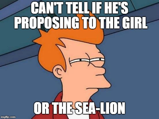 Futurama Fry Meme | CAN'T TELL IF HE'S PROPOSING TO THE GIRL OR THE SEA-LION | image tagged in memes,futurama fry | made w/ Imgflip meme maker