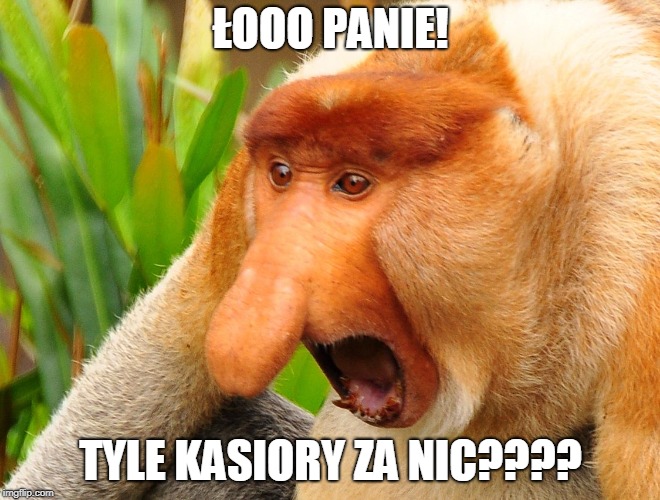 Nosacz | ŁOOO PANIE! TYLE KASIORY ZA NIC???? | image tagged in nosacz | made w/ Imgflip meme maker