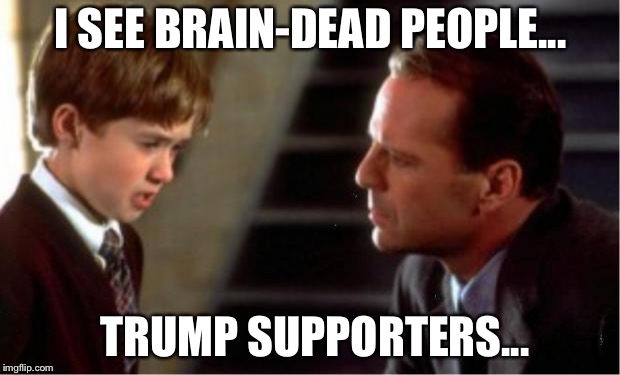 The Sixth Sense | I SEE BRAIN-DEAD PEOPLE... TRUMP SUPPORTERS... | image tagged in i see dead people | made w/ Imgflip meme maker