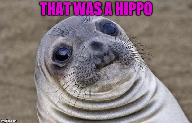 Awkward Moment Sealion Meme | THAT WAS A HIPPO | image tagged in memes,awkward moment sealion | made w/ Imgflip meme maker