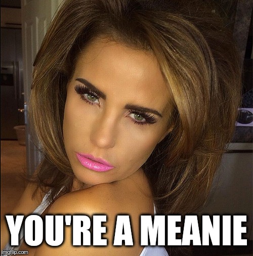 YOU'RE A MEANIE | made w/ Imgflip meme maker