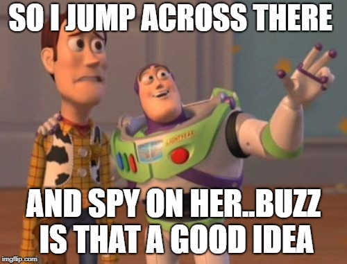X, X Everywhere | SO I JUMP ACROSS THERE; AND SPY ON HER..BUZZ IS THAT A GOOD IDEA | image tagged in memes,x x everywhere | made w/ Imgflip meme maker