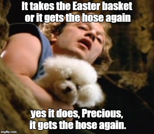 It takes the Easter basket or it gets the hose again yes it does, Precious, it gets the hose again. | made w/ Imgflip meme maker