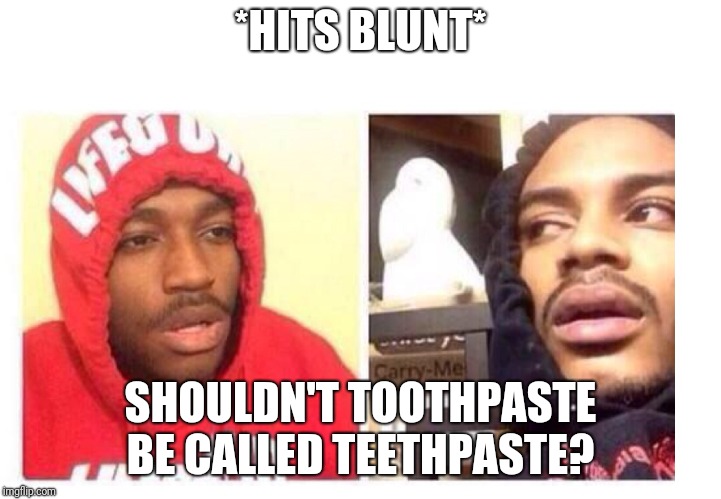 Hits blunt | *HITS BLUNT*; SHOULDN'T TOOTHPASTE BE CALLED TEETHPASTE? | image tagged in hits blunt | made w/ Imgflip meme maker