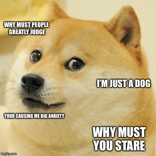 Doge Meme | WHY MUST PEOPLE GREATLY JUDGE; I’M JUST A DOG; YOUR CAUSING ME BIG ANXIETY; WHY MUST YOU STARE | image tagged in memes,doge | made w/ Imgflip meme maker