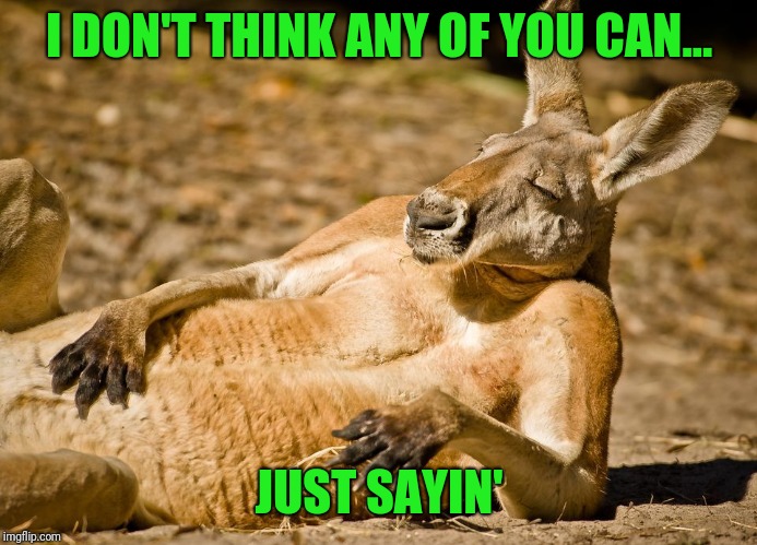 Relaxed dude | I DON'T THINK ANY OF YOU CAN... JUST SAYIN' | image tagged in relaxed dude | made w/ Imgflip meme maker