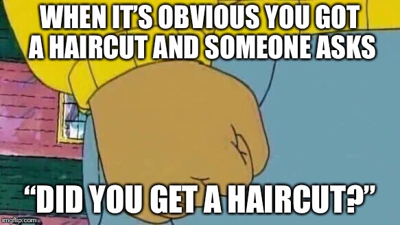 My #1 pet peeve | WHEN IT’S OBVIOUS YOU GOT A HAIRCUT AND SOMEONE ASKS; “DID YOU GET A HAIRCUT?” | image tagged in memes,arthur fist | made w/ Imgflip meme maker