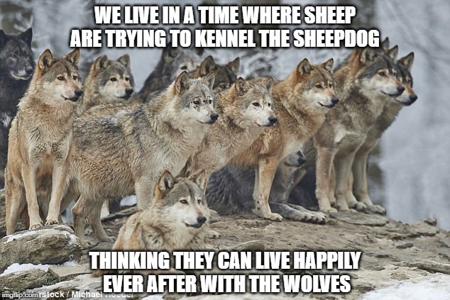 WE LIVE IN A TIME WHERE SHEEP ARE TRYING TO KENNEL THE SHEEPDOG; THINKING THEY CAN LIVE HAPPILY EVER AFTER WITH THE WOLVES | made w/ Imgflip meme maker
