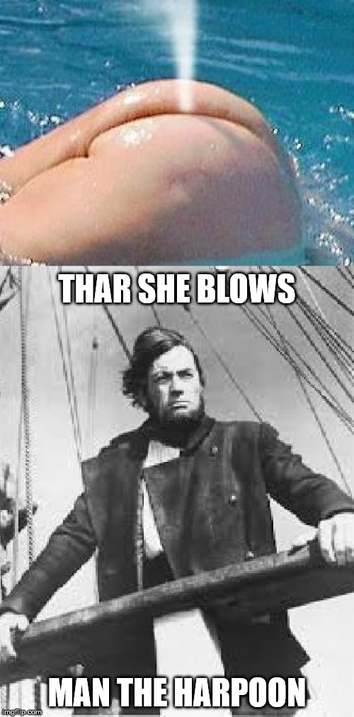 Thar the fatty blows | THAR SHE BLOWS; MAN THE HARPOON | image tagged in whale,thar she blows,harpoons,fat people,aquatic mammal | made w/ Imgflip meme maker