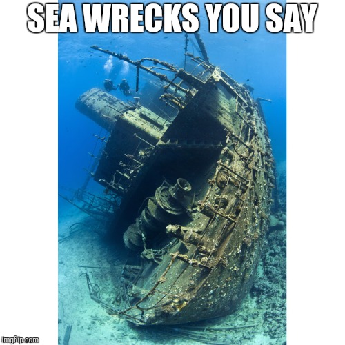 SEA WRECKS YOU SAY | made w/ Imgflip meme maker