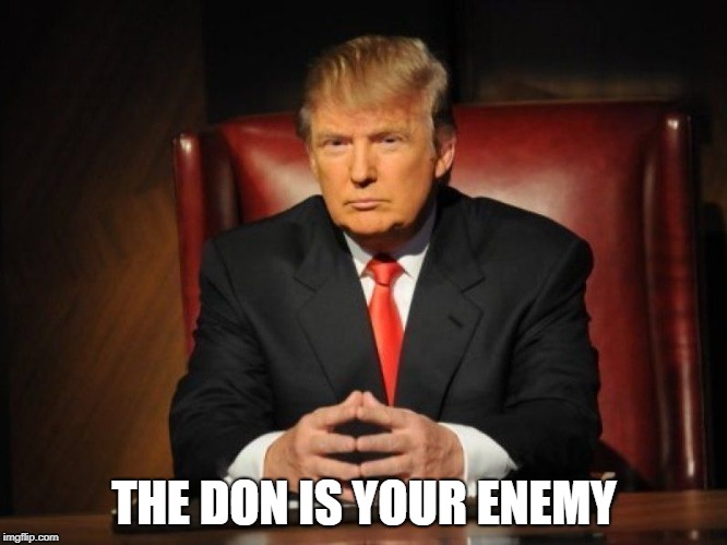 A play on the [adult swim] bumper in the morning | THE DON IS YOUR ENEMY | image tagged in donald trump,adult swim | made w/ Imgflip meme maker