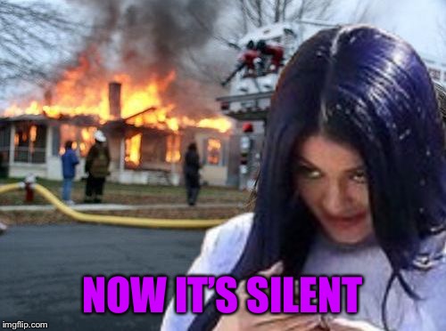 Disaster Mima | NOW IT’S SILENT | image tagged in disaster mima | made w/ Imgflip meme maker