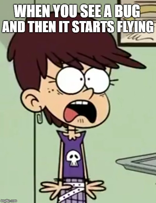 My reaction is Luna's reaction | AND THEN IT STARTS FLYING; WHEN YOU SEE A BUG | image tagged in the loud house,nickelodeon,bug,flying,skull,rockstar | made w/ Imgflip meme maker