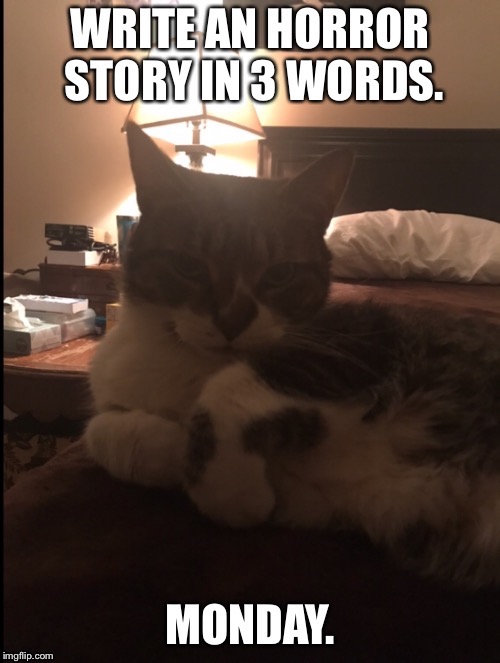 Monday horror story meme | image tagged in memes,funny memes,grumpy cat,cat memes,monday mornings | made w/ Imgflip meme maker