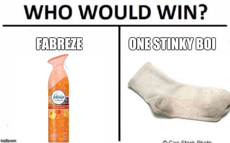 FABREZE; ONE STINKY BOI | image tagged in who would win,funny,memes,socks,boi | made w/ Imgflip meme maker