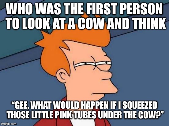 Futurama Fry Meme | WHO WAS THE FIRST PERSON TO LOOK AT A COW AND THINK; “GEE, WHAT WOULD HAPPEN IF I SQUEEZED THOSE LITTLE PINK TUBES UNDER THE COW?” | image tagged in memes,futurama fry | made w/ Imgflip meme maker