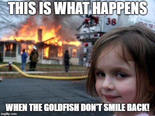 Welp, goldfish ARE known as the snack that smiles back! | THIS IS WHAT HAPPENS; WHEN THE GOLDFISH DON'T SMILE BACK! | image tagged in memes,disaster girl,goldfish,depressing | made w/ Imgflip meme maker