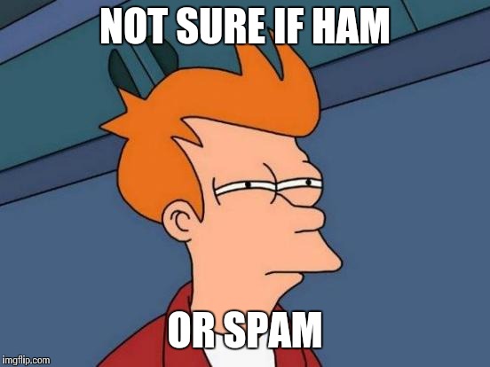 Futurama Fry | NOT SURE IF HAM; OR SPAM | image tagged in memes,futurama fry | made w/ Imgflip meme maker