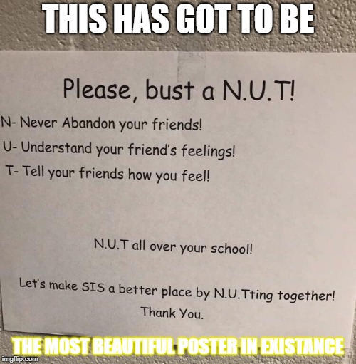 Remember to bust a N.U.T at your school guys! | THIS HAS GOT TO BE; THE MOST BEAUTIFUL POSTER IN EXISTANCE | image tagged in nuts,school,epic fail,approves | made w/ Imgflip meme maker