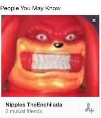 nipples the enchilada | image tagged in knuckles,echidna,enchilada | made w/ Imgflip meme maker