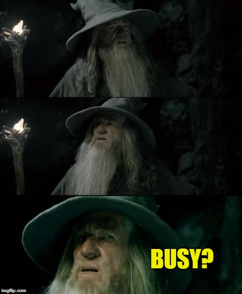 Confused Gandalf Meme | BUSY? | image tagged in memes,confused gandalf | made w/ Imgflip meme maker