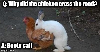 Easter eggs | Q: Why did the chicken cross the road? A: Booty call | image tagged in easter eggs | made w/ Imgflip meme maker