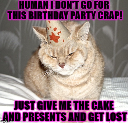 BIRTHDAY CAT | HUMAN I DON'T GO FOR THIS BIRTHDAY PARTY CRAP! JUST GIVE ME THE CAKE AND PRESENTS AND GET LOST | image tagged in birthday cat | made w/ Imgflip meme maker